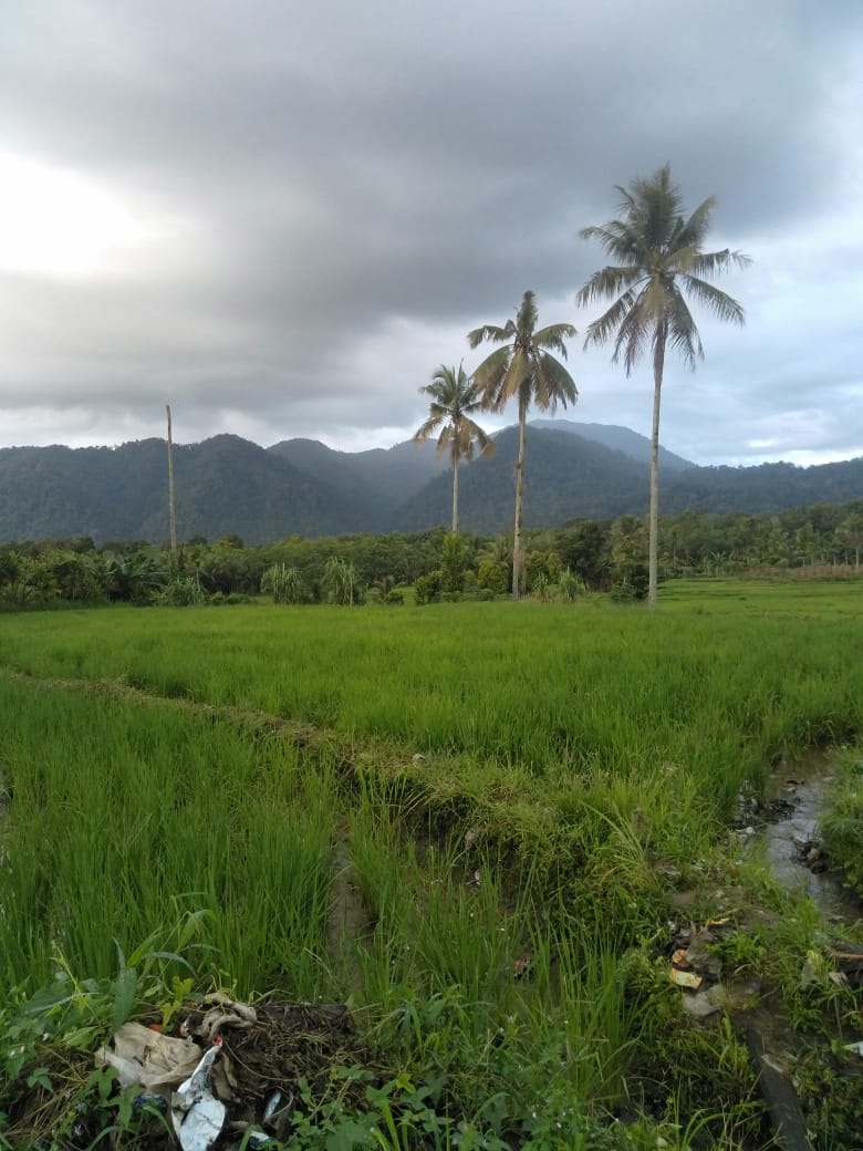 Local Village Tour